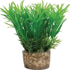 DECOR PLANTE SMALL T3 ASS