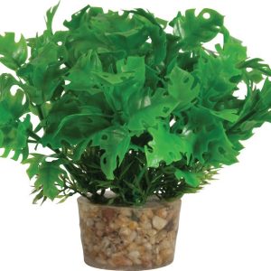 DECOR PLANTE SMALL T3 ASS
