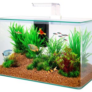KIT AQUA CLEAR 40
