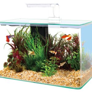 KIT AQUA CLEAR 50