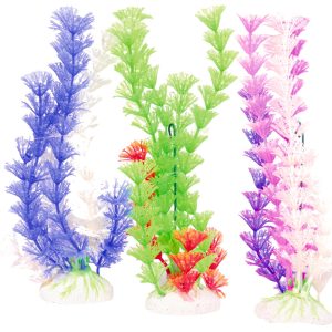 PLANTE COLOR PLANT
