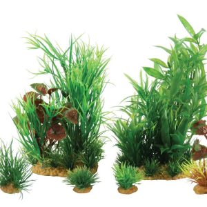 PLANTKIT JALAYA