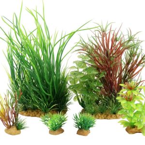 PLANTKIT JALAYA