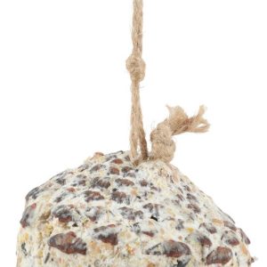 POMME DE PIN GRAISSE 290G