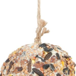 POMME PIN GRAISSE INSECTES