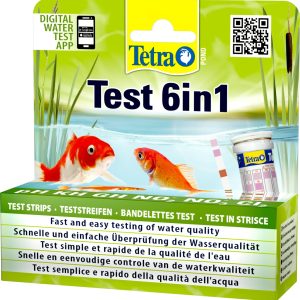 TEST 6 EN 1