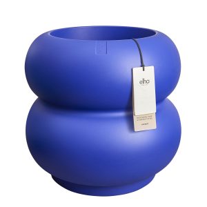 amber roll low 43 bleu royal