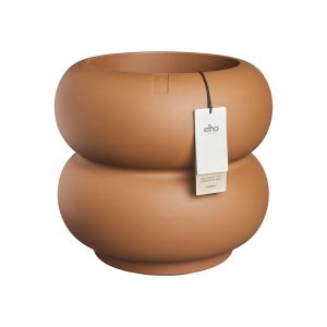 amber roll low 43 caramel