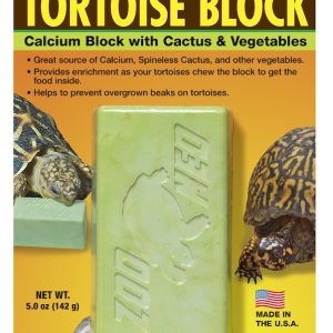 BLOC TORTUE TERRESTRE XXL