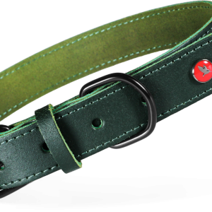 COLLIER CUIR CLASS VERT