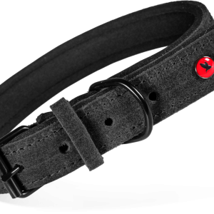 COLLIER CUIR CONFORT NOIR