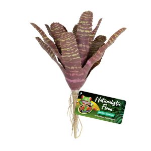 DECOR CHESTNUT BROMELIAD BU-6