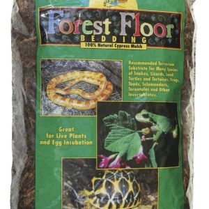 FIBRE FOREST FLOOR