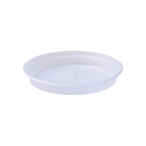 Green Basics orchidée soucoupe transparent