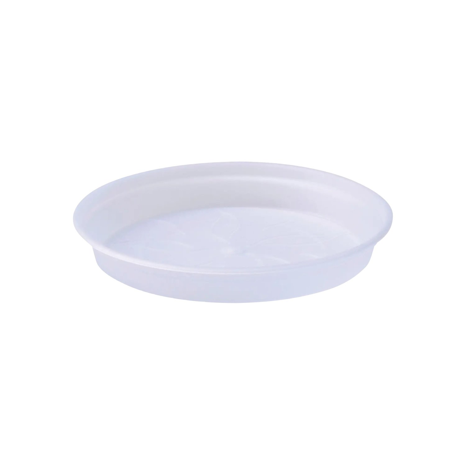 Green Basics orchidée soucoupe transparent