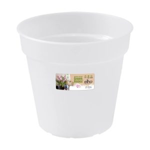 Green Basics orchidée transparent