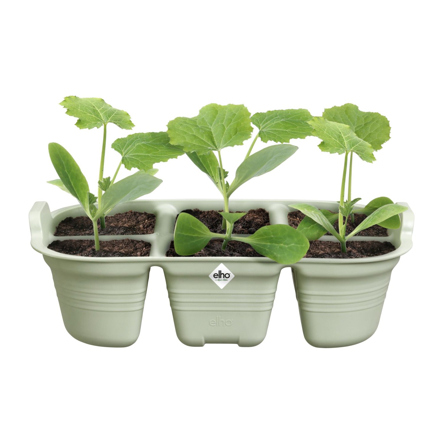 Green Basics plateau de semis 22 vert pierre – Image 3