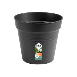 Green Basics pot de culture noir