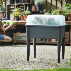 Green Basics serre de culture xxl 75cm transparent