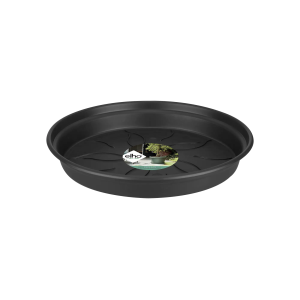 Green Basics soucoupe noir
