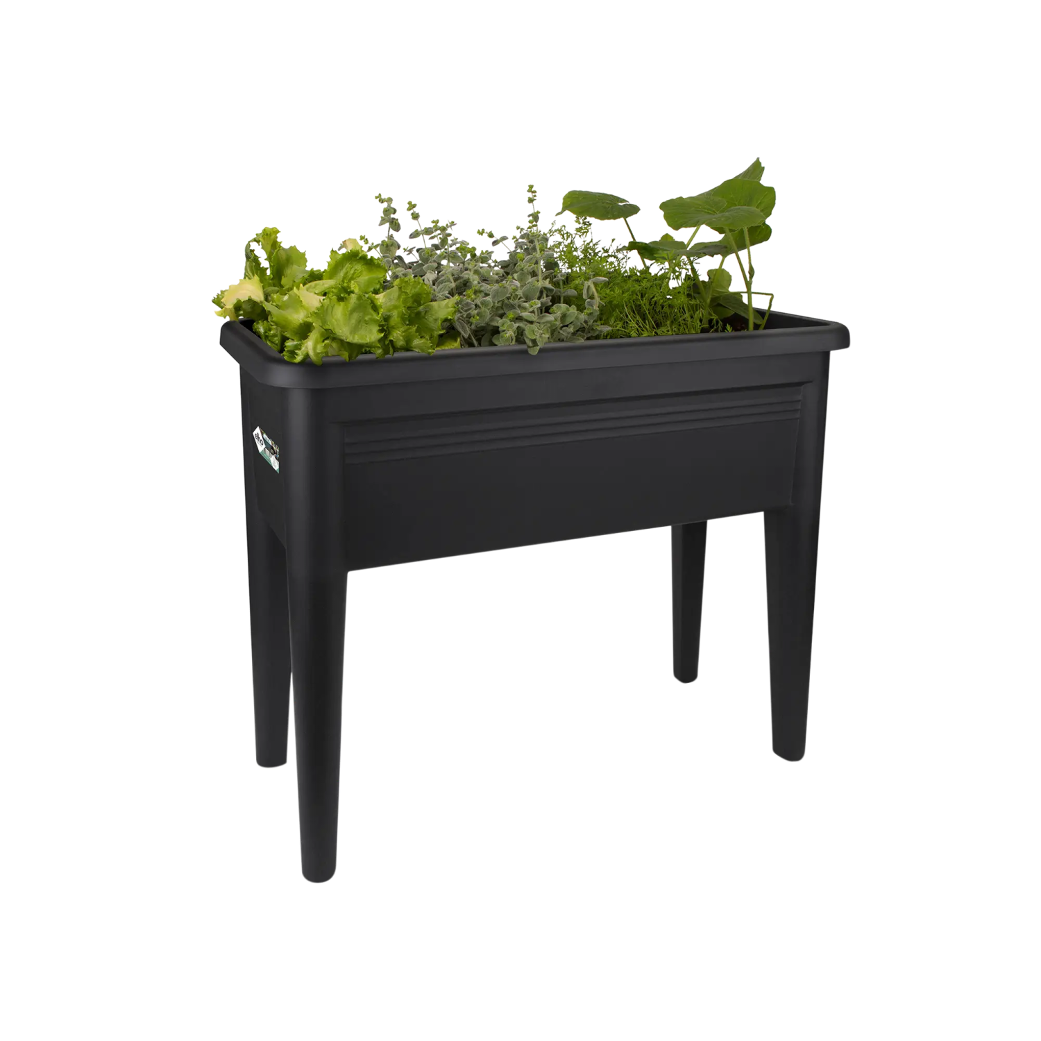 Green Basics table de culture super xxl living noir – Image 2