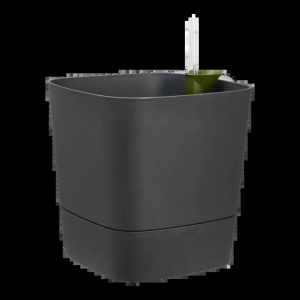 greensense aqua care carré 30cm