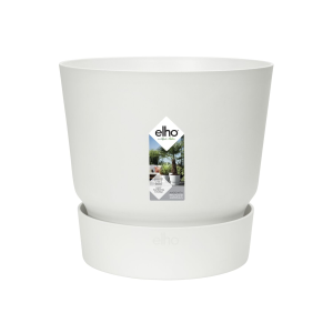 greenville rond blanc