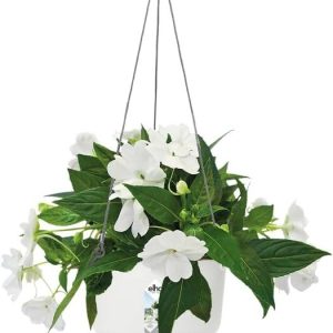 greenville suspension 24cm blanc
