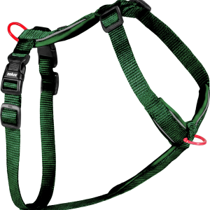 HARNAIS Nylon Premium Vert sapin