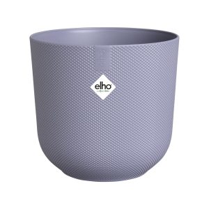 jazz rond lavande lilas
