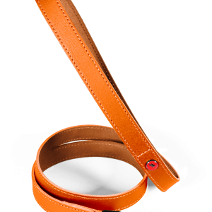 LAISSE CUIR CLASS 1M20 FAUVE