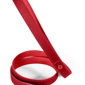 LAISSE CUIR CLASS 1M20 GRENAT