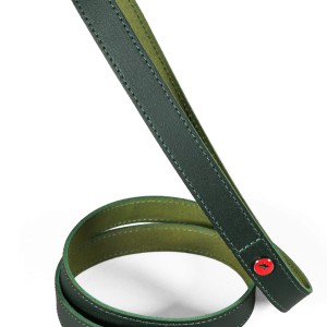 LAISSE CUIR CLASS 1M20 VERT