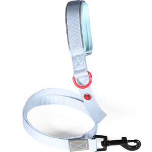 LAISSE Nylon Premium Gris bleu