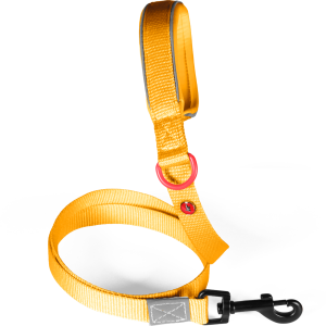LAISSE Nylon Premium Jaune