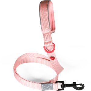 LAISSE Nylon Premium Rose pâle