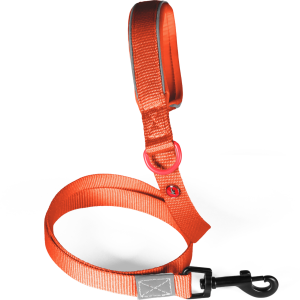 LAISSE Nylon Premium Rouille