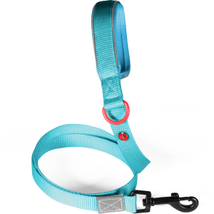 LAISSE Nylon Premium Turquoise