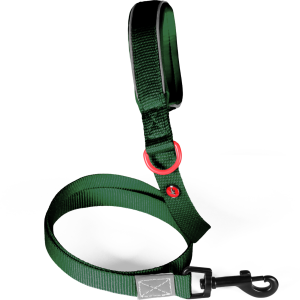 LAISSE Nylon Premium Vert sapin