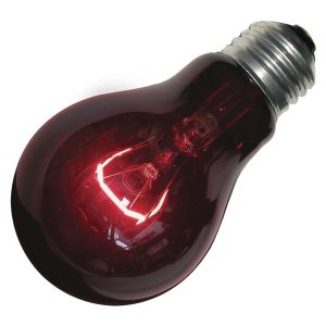 LAMP NIGHTLIGHT RED