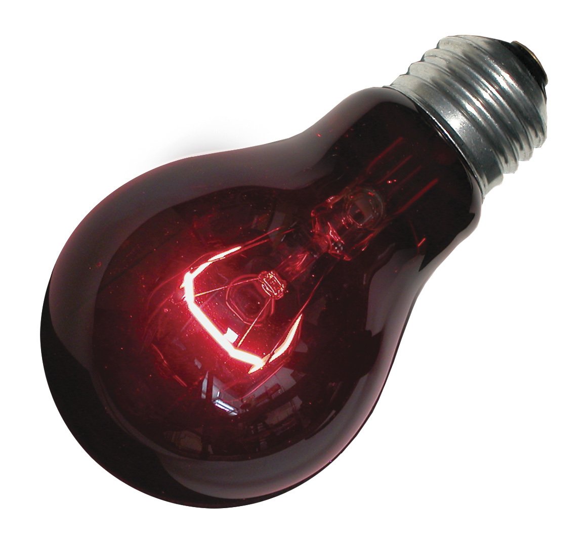 LAMP NIGHTLIGHT RED