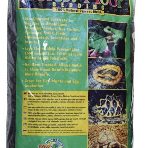 LITIERE CYPRES FORESTFLOOR