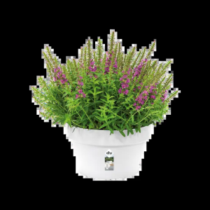 loft urban coupe 35cm blanc