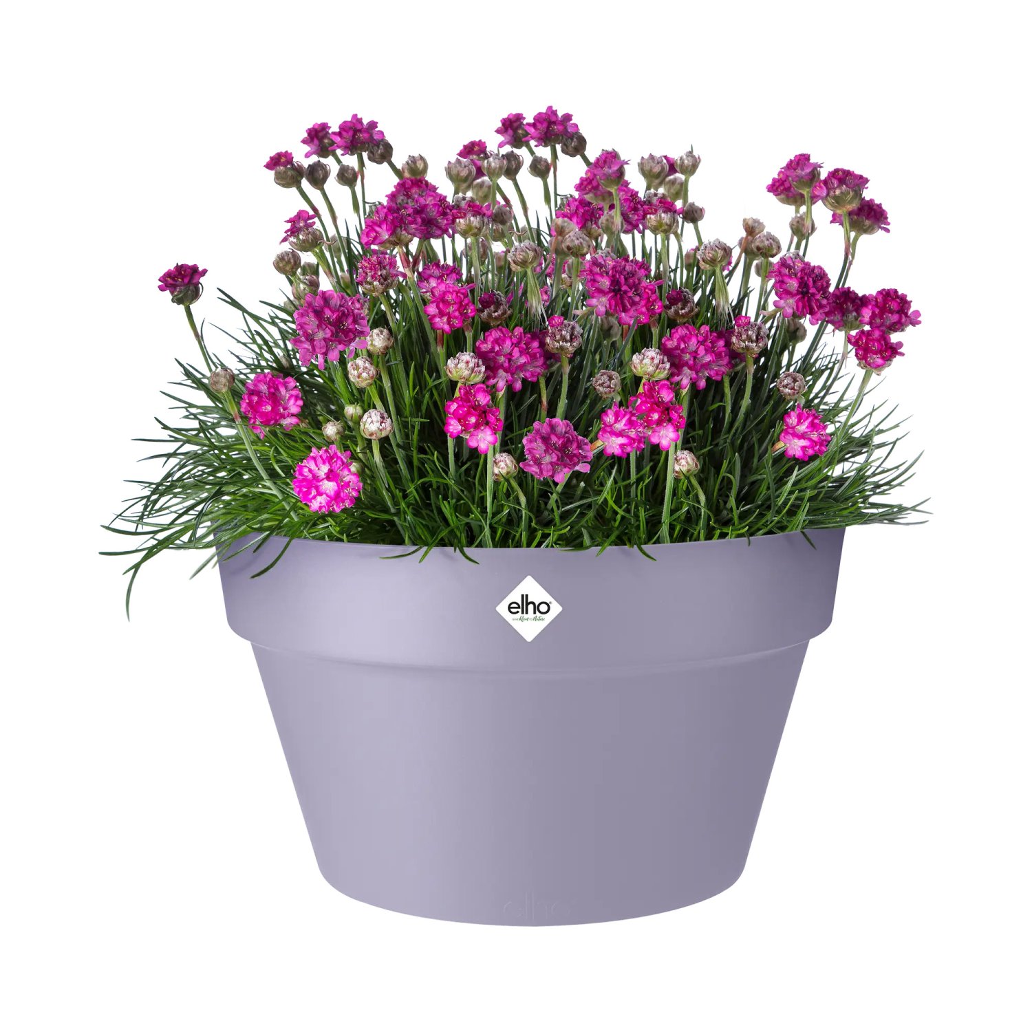 loft urban coupe 35cm lavande – Image 2