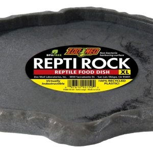 MANGEOIRE REPTIROCK