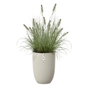 Sereh haut 30 beige champignon