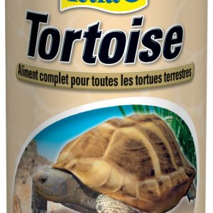 TETRAFAUNA TORTOISE