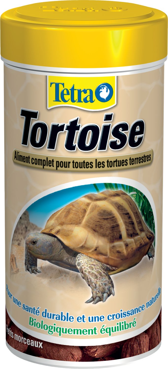 TETRAFAUNA TORTOISE