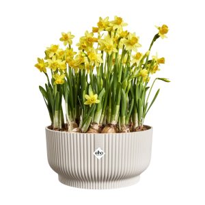vibes fold bowl 25 blanc lin