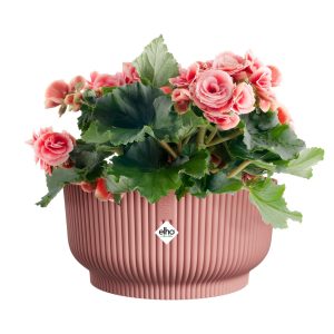 vibes fold bowl 25 rose poudre